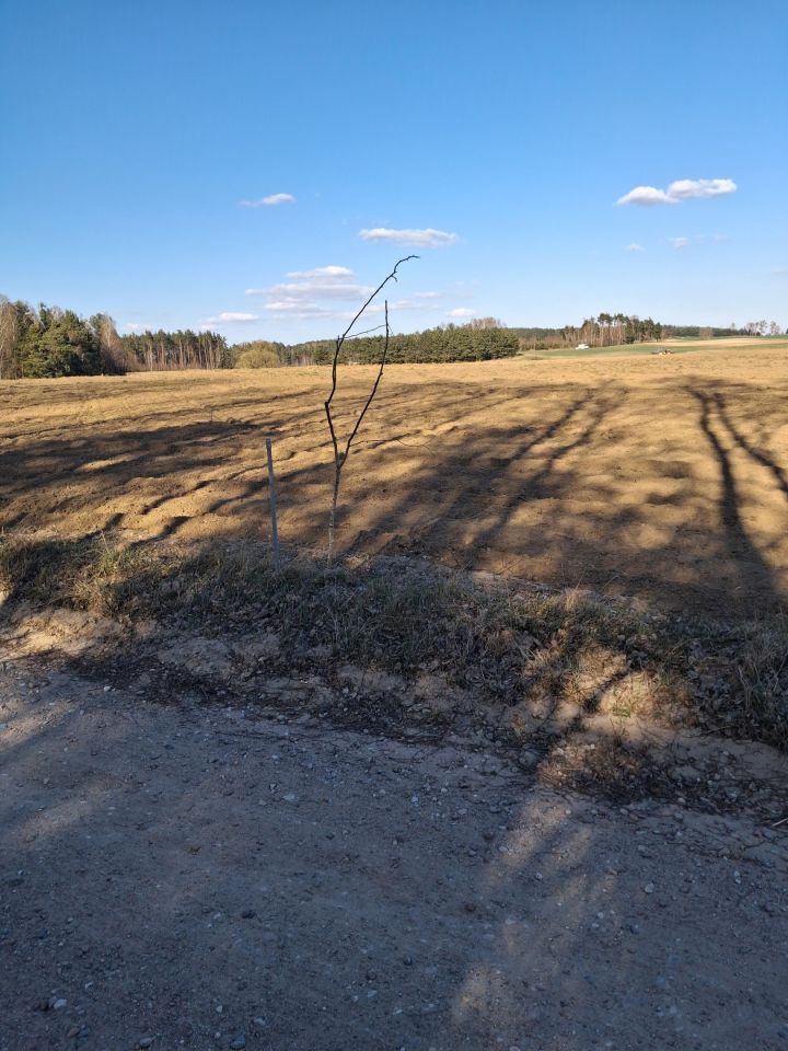 Działka budowlana Wiele, ul. Chełmicka. Zdjęcie 6