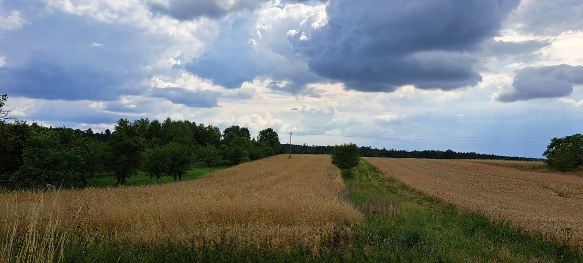 Działka budowlana Zalesie Krasieńskie. Zdjęcie 2
