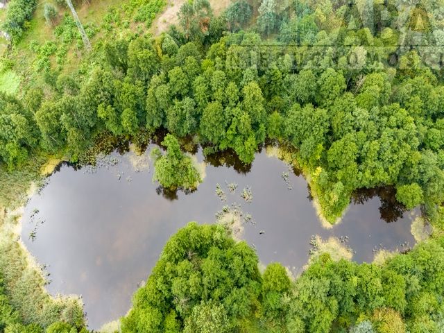 Działka rolna Obory. Zdjęcie 7