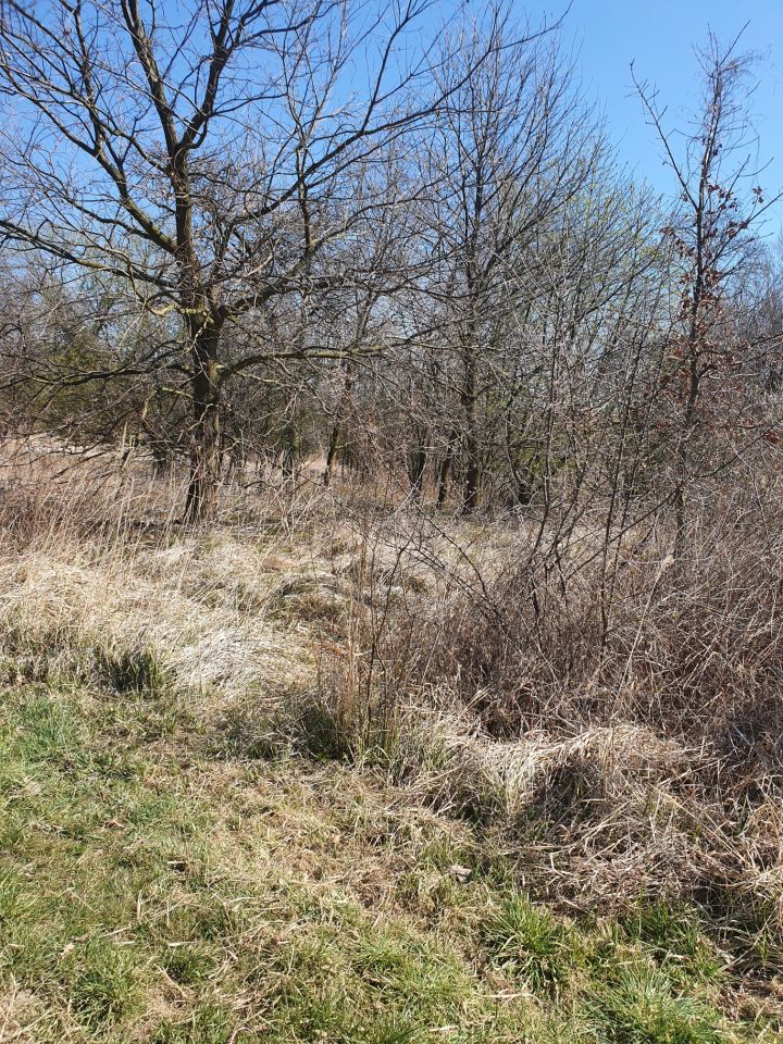 dom wolnostojący, 3 pokoje Okleśna. Zdjęcie 13