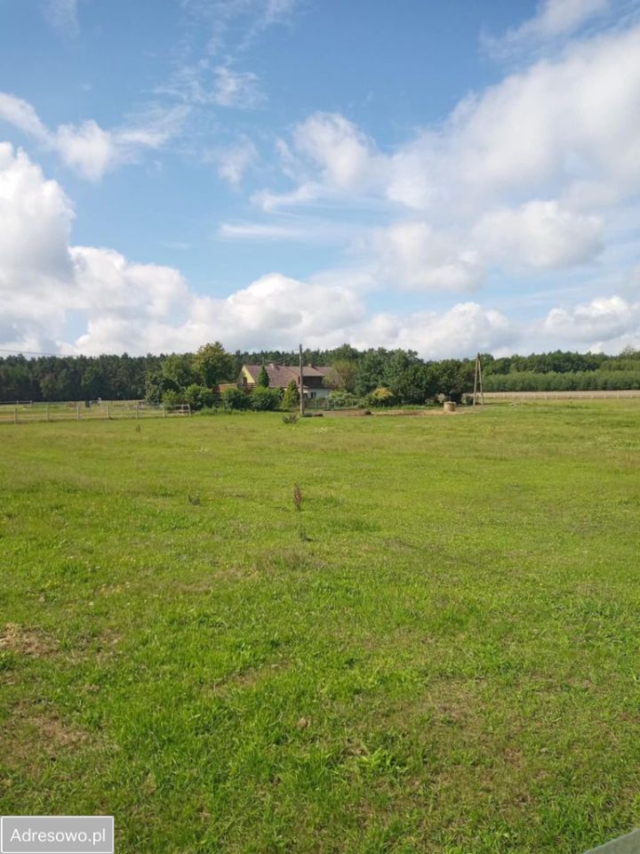 gospodarstwo, 11 pokoi Łowoszów, ul. Leśna. Zdjęcie 18