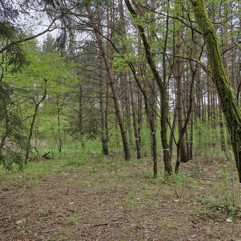 Działka rekreacyjna Osiedle Wilga. Zdjęcie 7