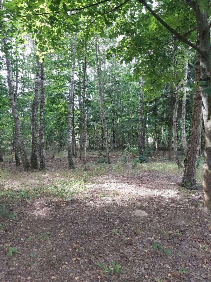 Działka rod Styrzyniec. Zdjęcie 3