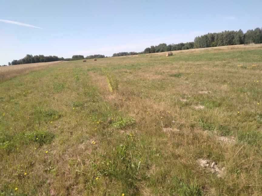 Działka budowlana Anielinek. Zdjęcie 5
