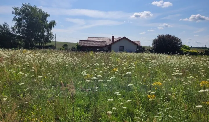 Działka budowlana Szczycionek