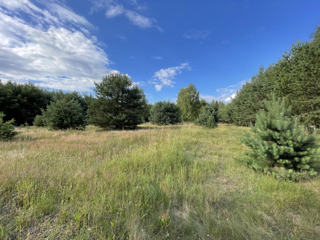 Działka siedliskowa Kozia Wieś. Zdjęcie 8