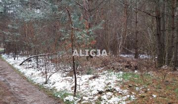 Działka budowlana Kuklówka Radziejowicka