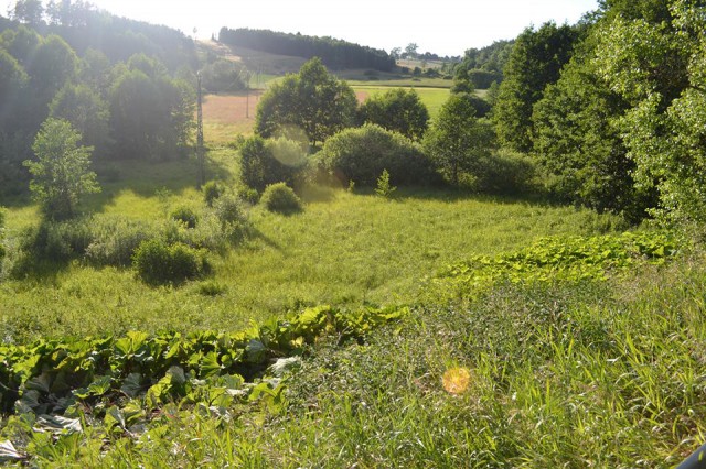 Działka rolna Borucino. Zdjęcie 1