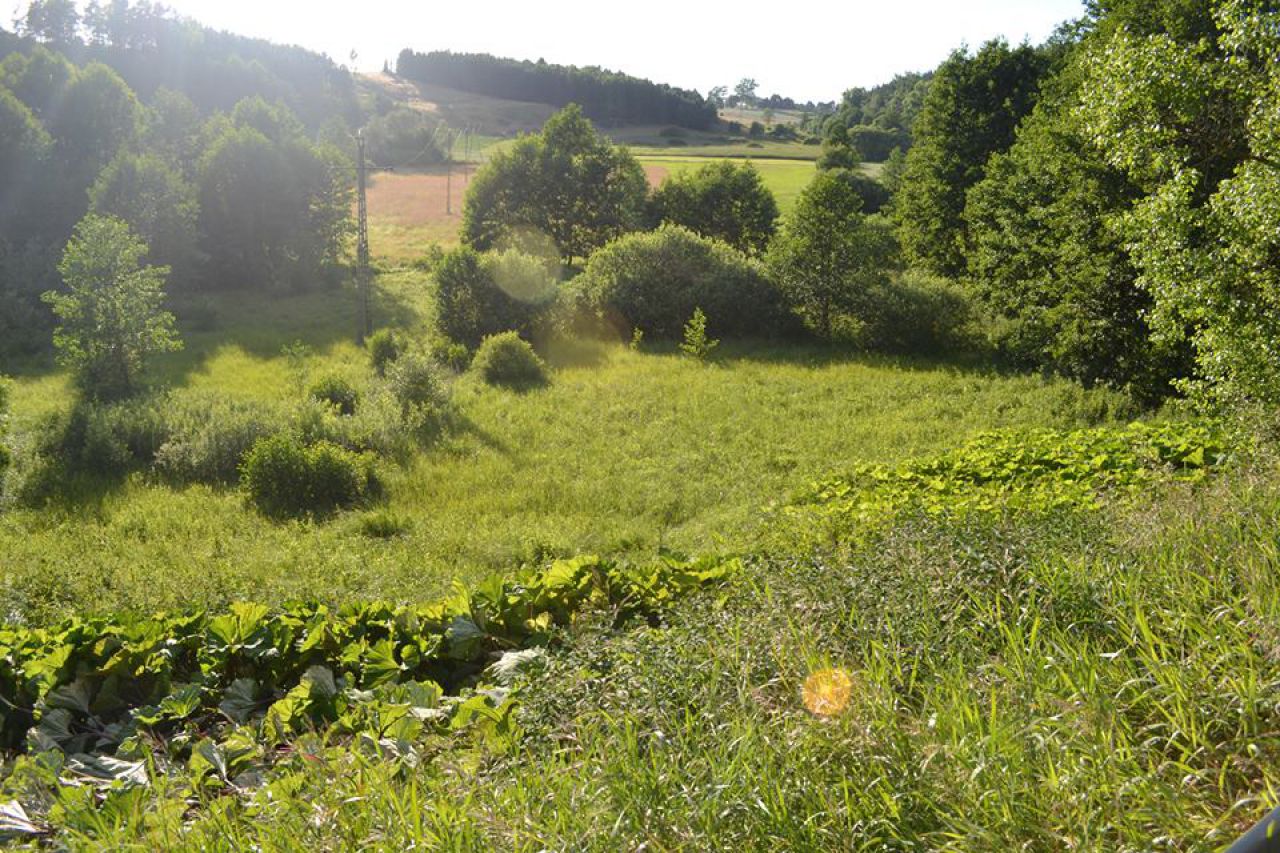 Działka rolna Borucino