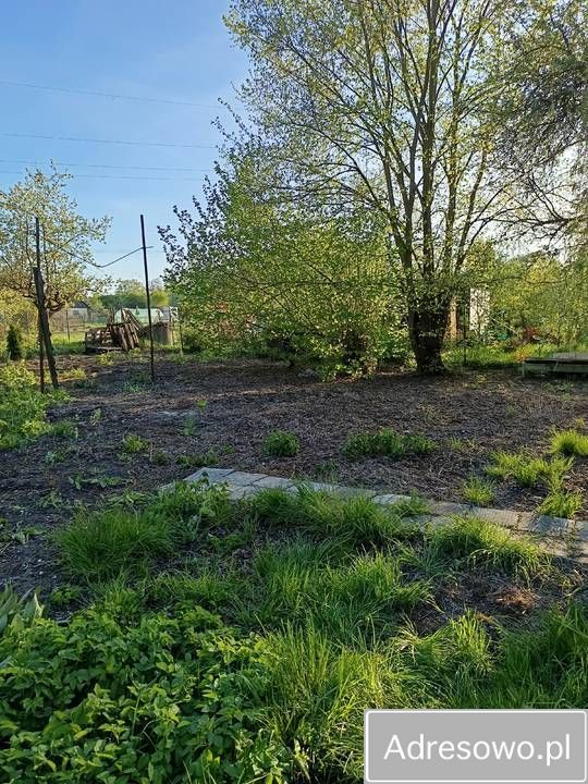 Działka rod Chełm, ul. Wolności