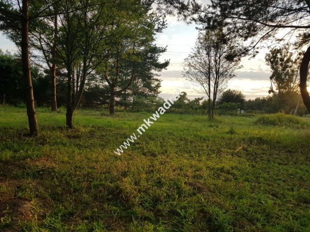 Działka budowlana Radziejowice-Parcel. Zdjęcie 2