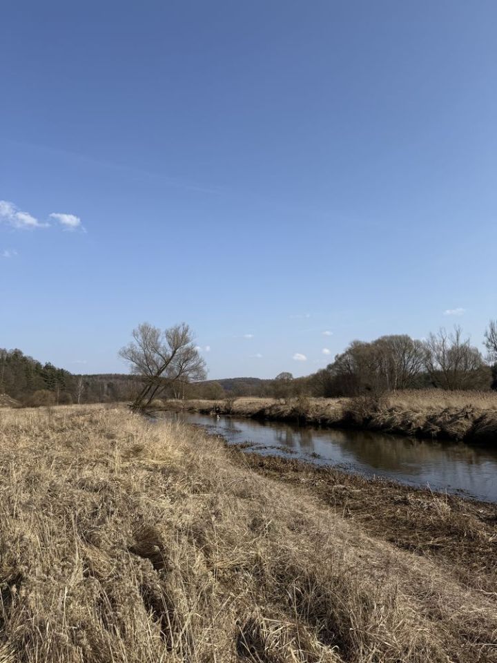 Działka rekreacyjna Częstochowa Mirów. Zdjęcie 4