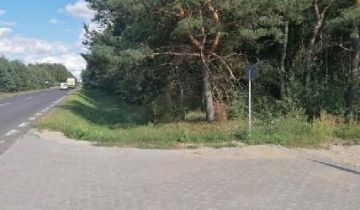 Działka leśna Nowa Wieś