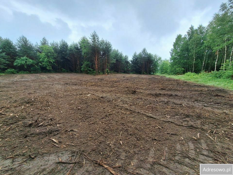 Działka rolna Przybynów. Zdjęcie 2