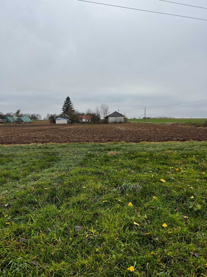 gospodarstwo Harasimowicze. Zdjęcie 3