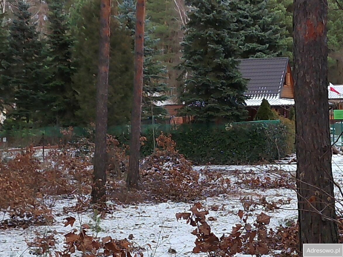 Działka leśna Marynino. Zdjęcie 10