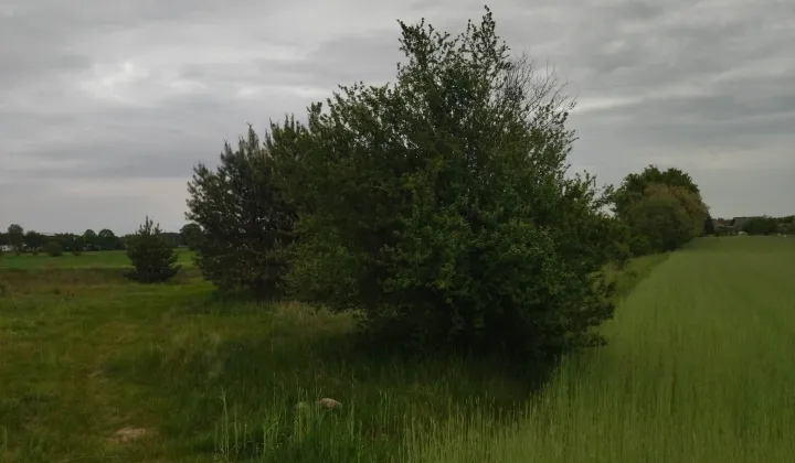 Działka budowlana Świerczyna