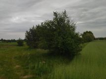 Działka budowlana Świerczyna. Zdjęcie 2