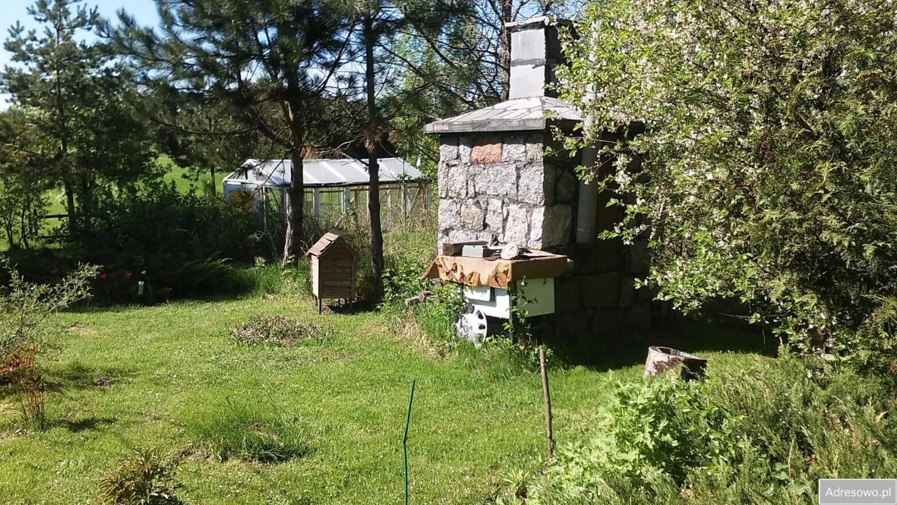 Działka siedliskowa Wólka. Zdjęcie 3