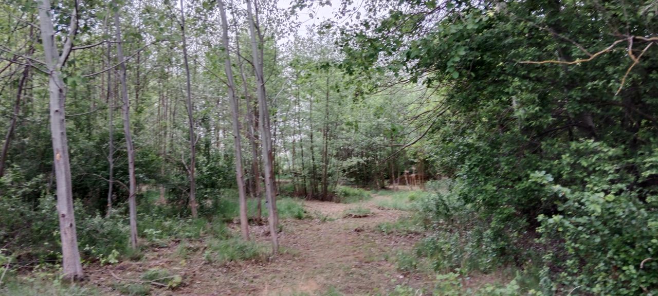 Działka budowlana Basin. Zdjęcie 1