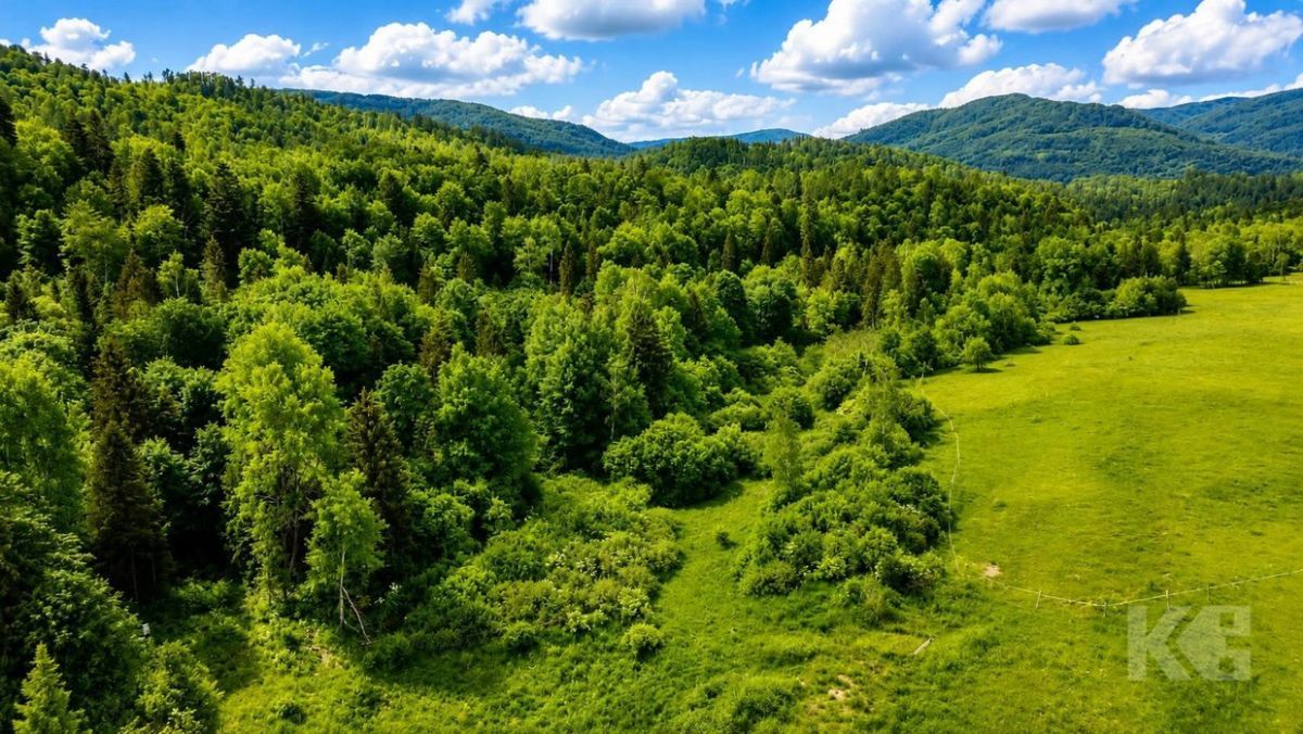 Działka rolno-budowlana Strzebowiska. Zdjęcie 11
