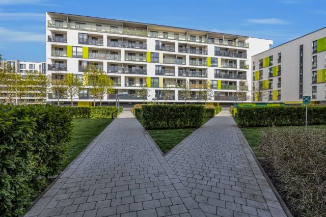 Mieszkanie 3-pokojowe Warszawa Żoliborz, ul. Kaliny Jędrusik. Zdjęcie 17