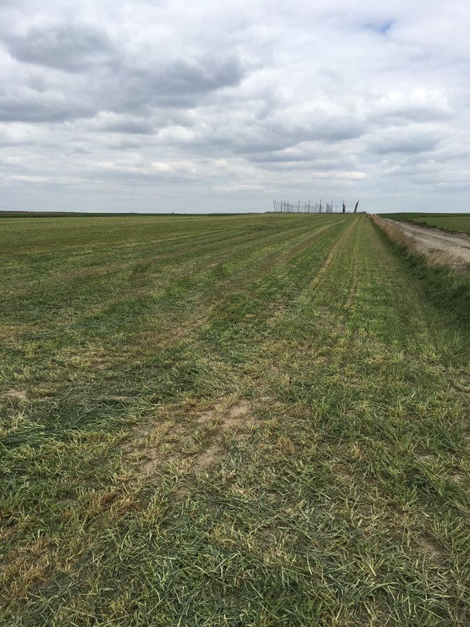 Działka rolno-budowlana Sitaniec. Zdjęcie 3