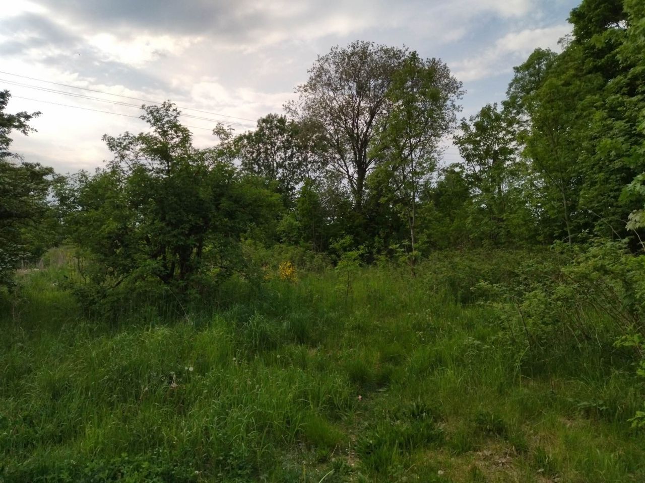 Działka budowlana Darżewo. Zdjęcie 3