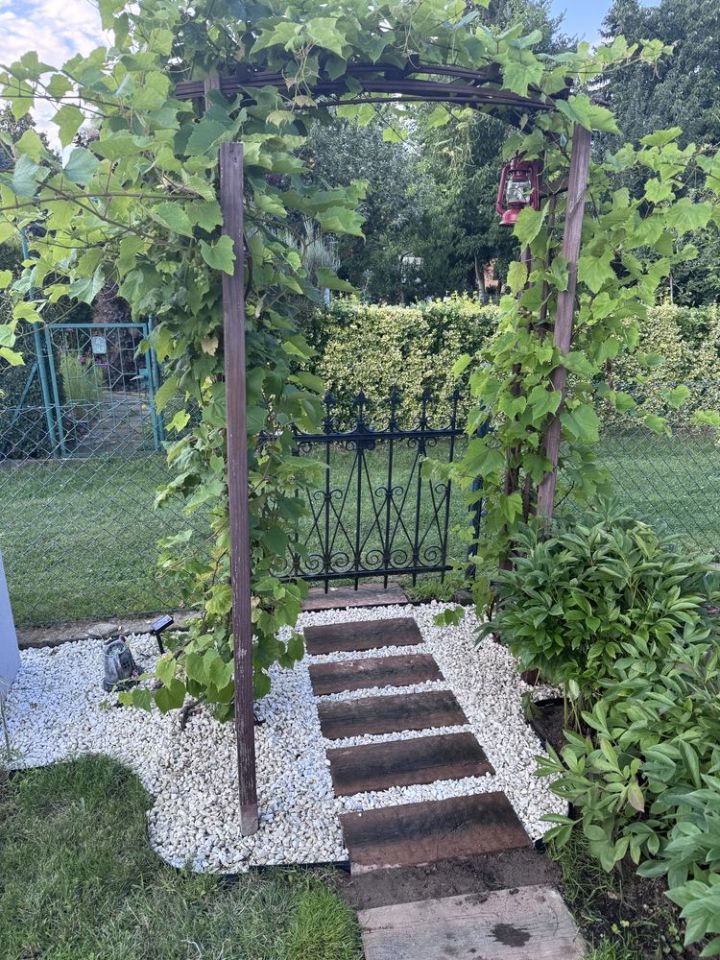 Działka rod Poznań Stare Miasto. Zdjęcie 2