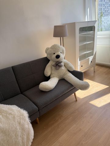 Mieszkanie 3-pokojowe Wrocław Różanka, ul. Bezpieczna. Zdjęcie 1