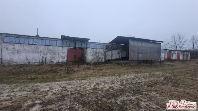 Hala/magazyn Lubraniec. Zdjęcie 14