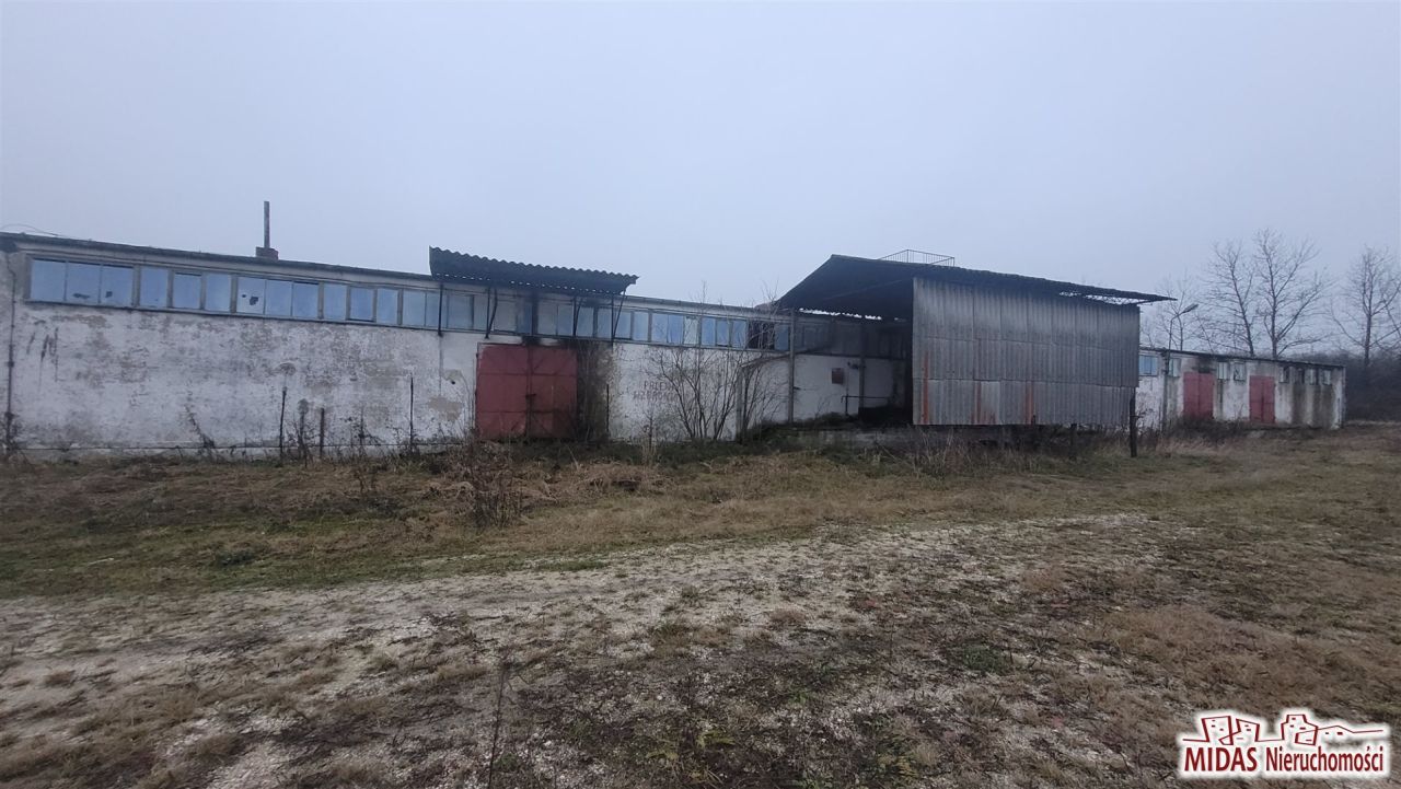 Hala/magazyn Lubraniec. Zdjęcie 14