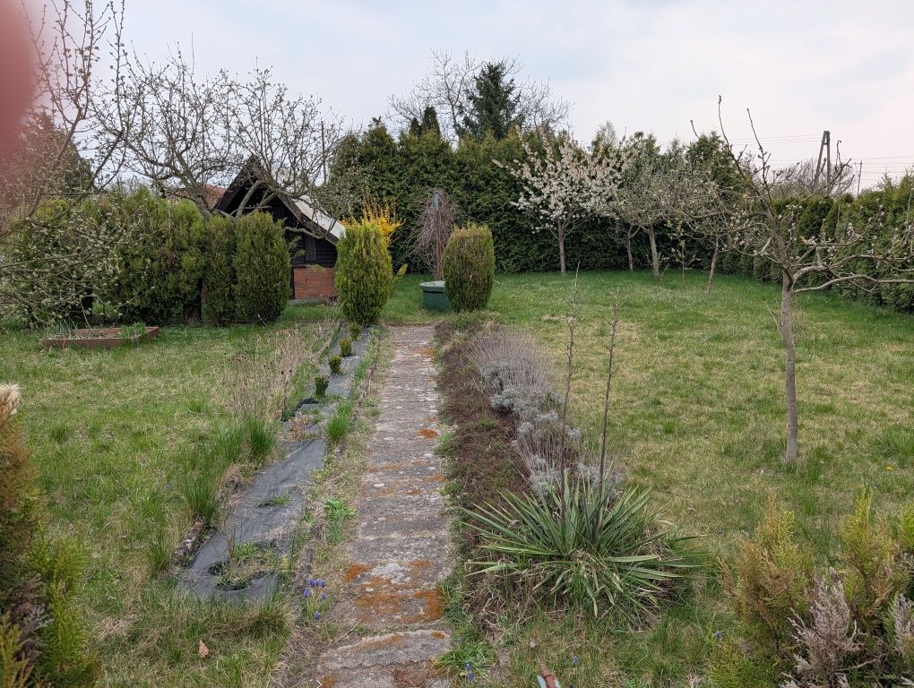 Działka rod Opole Żerkowice. Zdjęcie 2