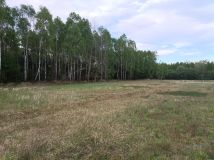 Działka budowlana Gowarzów, Gowarzów. Zdjęcie 2