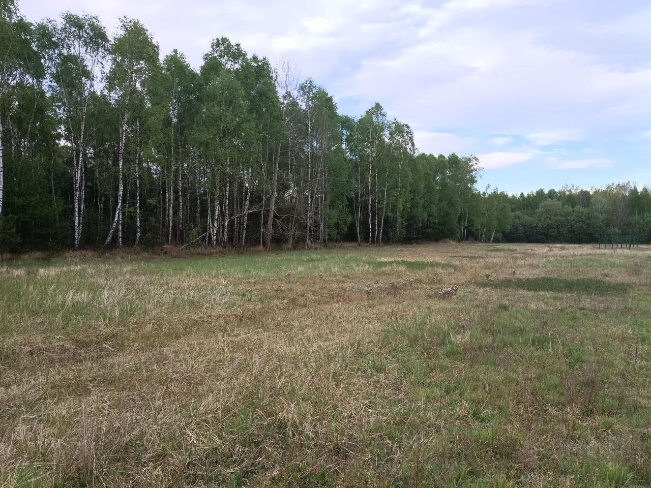 Działka budowlana Gowarzów, Gowarzów. Zdjęcie 3
