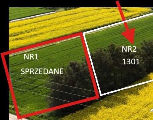 Działka rolno-budowlana Turowola-Kolonia. Zdjęcie 4