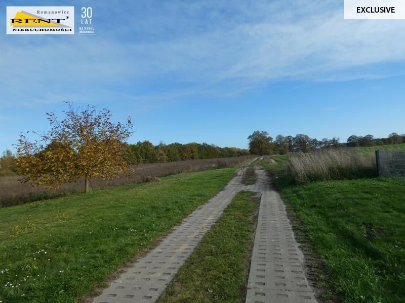 Działka siedliskowa Danowo. Zdjęcie 2