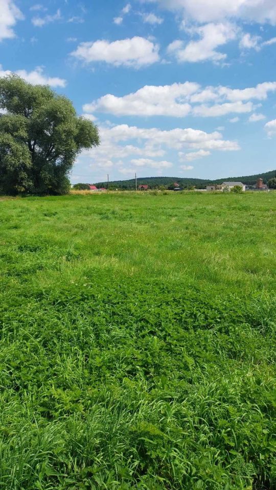 Działka budowlana Karpiny. Zdjęcie 4