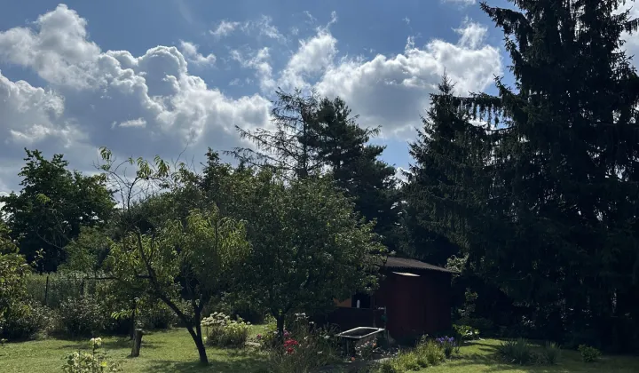 Działka rod Warszawa Wilanów, ul. Augustówka