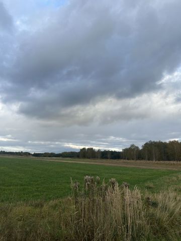 Działka inwestycyjna Nienadówka Poręby. Zdjęcie 1