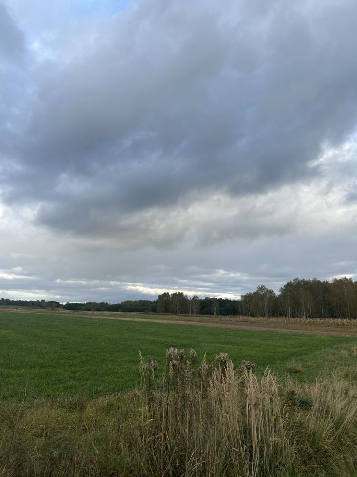 Działka inwestycyjna Nienadówka Poręby