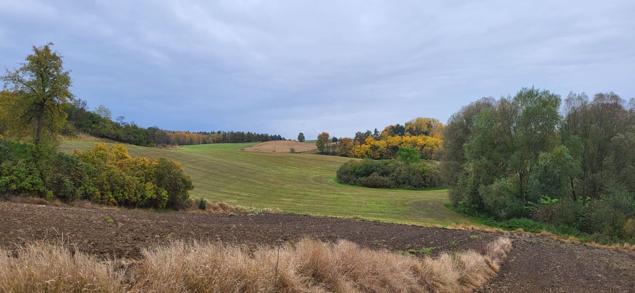 siedlisko Półwieś. Zdjęcie 3