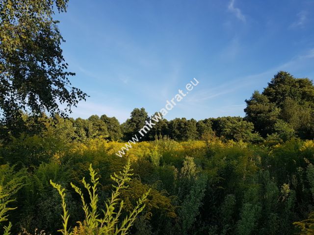 Działka budowlana Milanówek. Zdjęcie 2