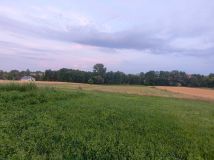 Działka rolna Momina. Zdjęcie 1