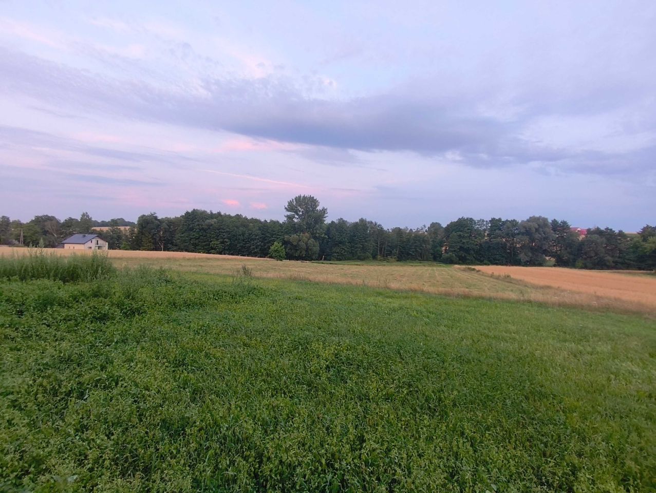 Działka rolna Momina. Zdjęcie 2