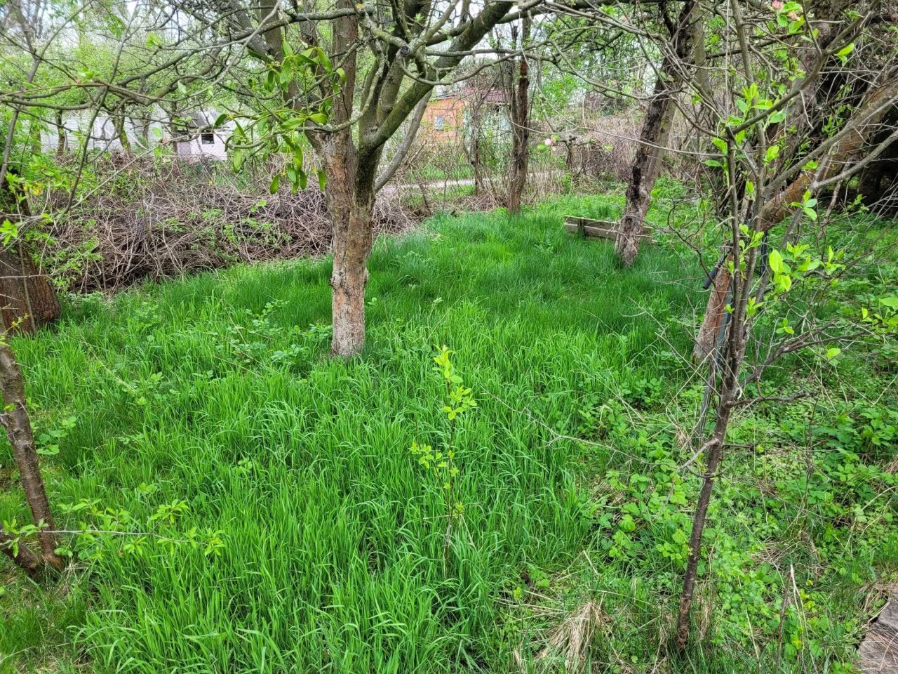 Działka rod Wrocław Partynice