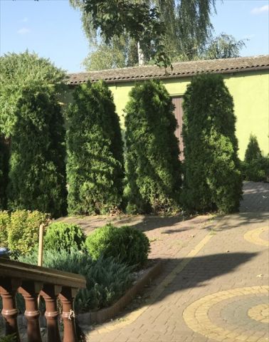 dom wolnostojący, 4 pokoje Nowe Miasto-Folwark. Zdjęcie 3