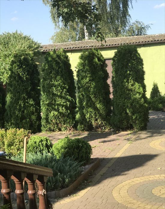 dom wolnostojący, 4 pokoje Nowe Miasto-Folwark. Zdjęcie 3