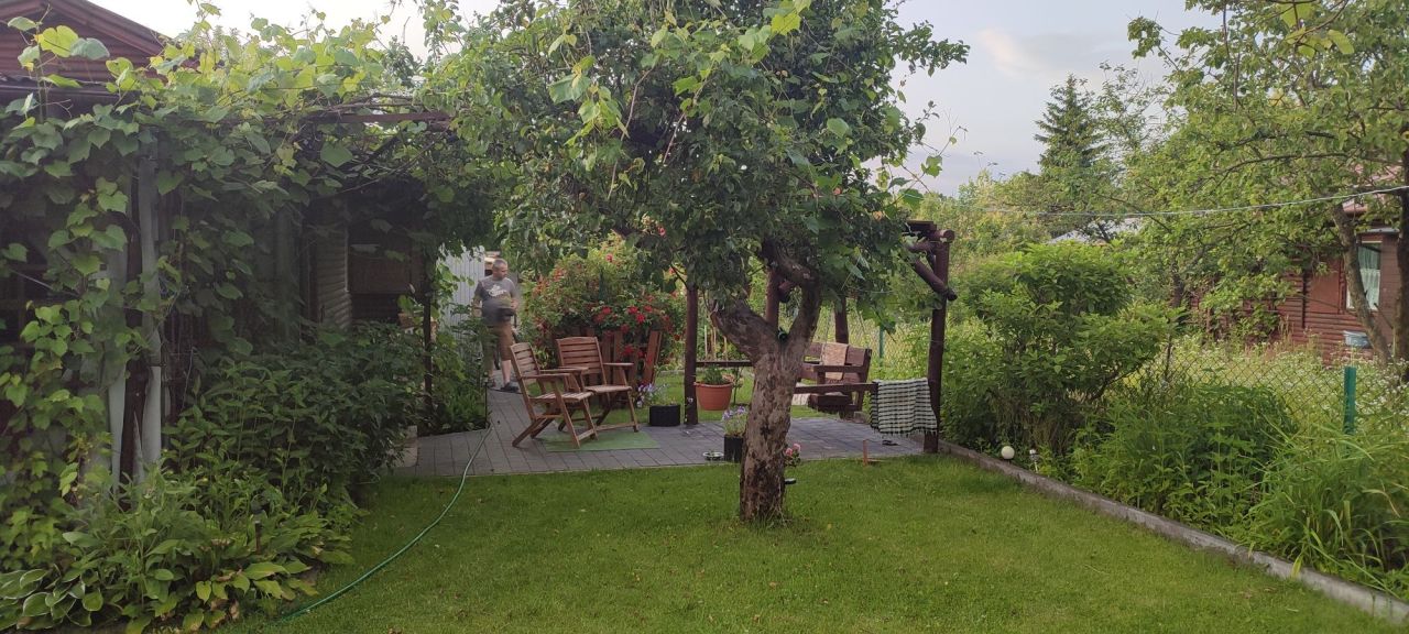 Działka rod Chotomów, ul. Partyzantów. Zdjęcie 7