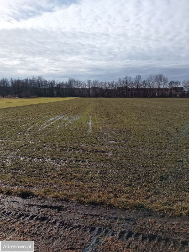 Działka inwestycyjna Głogów, ul. Henryka Głogowskiego. Zdjęcie 2